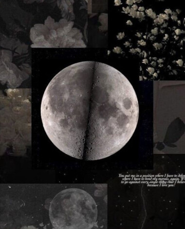 moon23saha1389