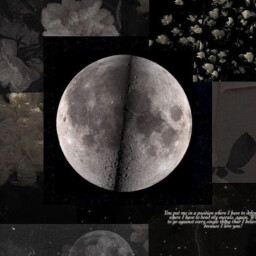 moon23saha1389