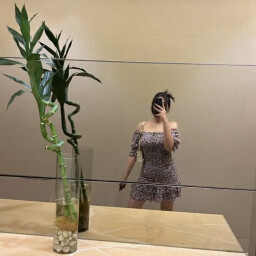 anjin_diziland