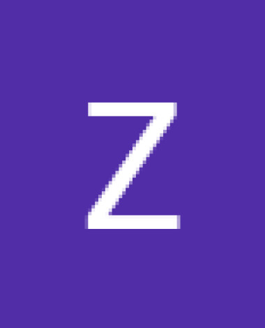 zabih_2024