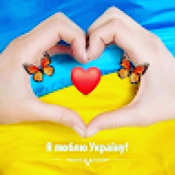 vikssi