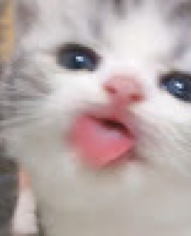kiyo__