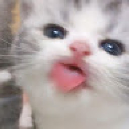 kiyo__