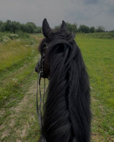 Bilen009098