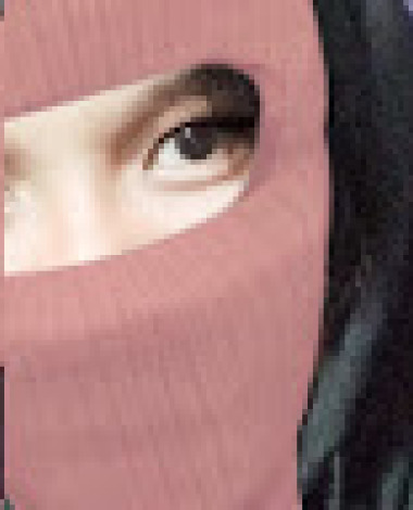 risss