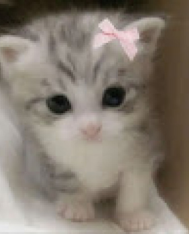 lovelybbbbbbbb