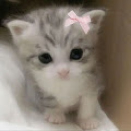 lovelybbbbbbbb