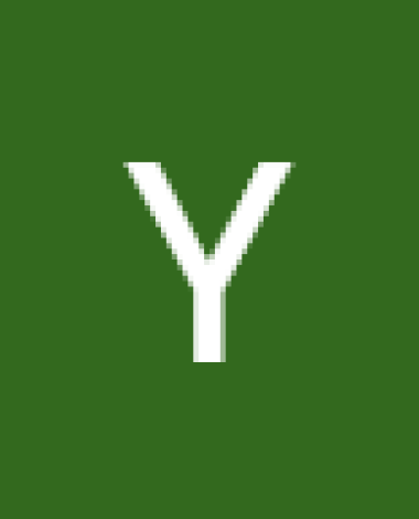 yalicapkini.y