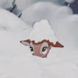 rosesred