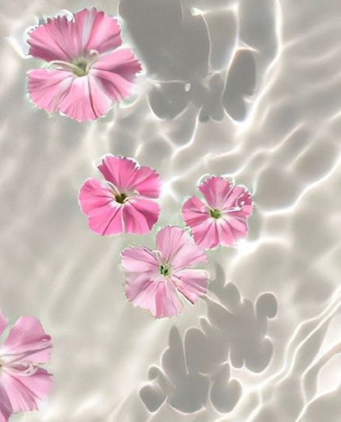 ilhanhusseinn19