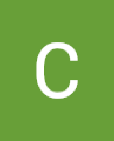 ct3939