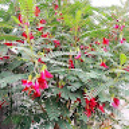 List by Md Zubair Khan