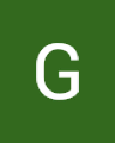 gvieira