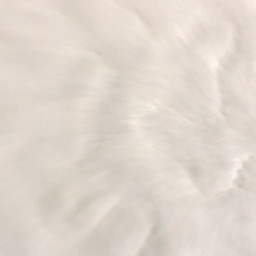 shkurte22