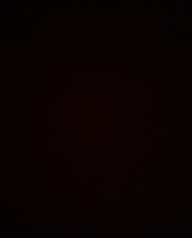 21653794