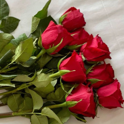 Shahad