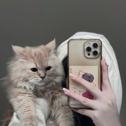 ghgabood