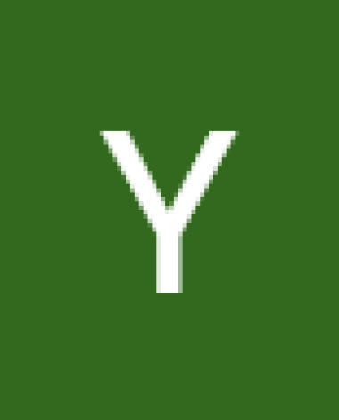 yasmine.ercel