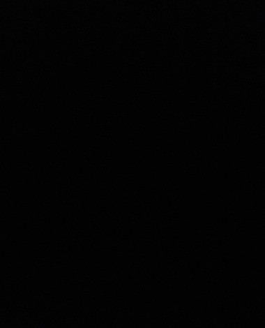 busuioc.marinel