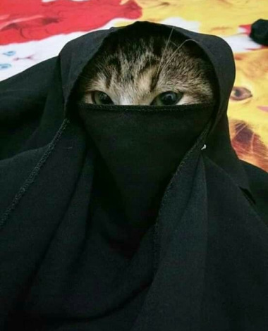 anaafiah
