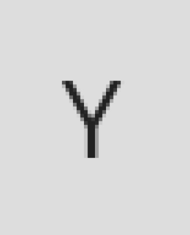 y.xxx