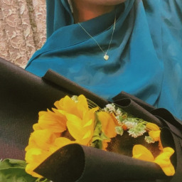 manahilkhiaz