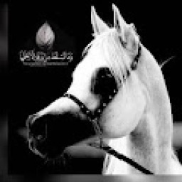 Azoz Alharby