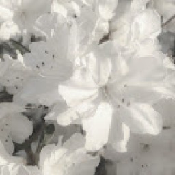ymna23