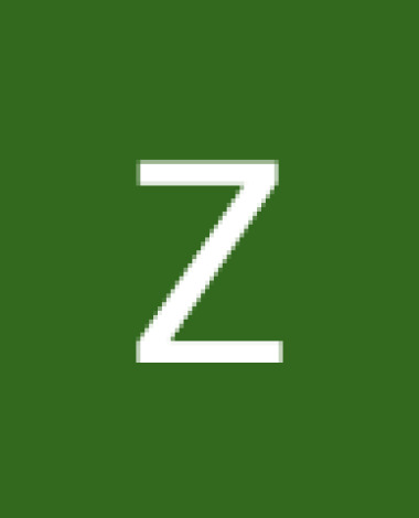 lilzc0