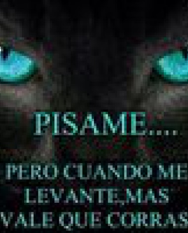 tina.jimenez.be