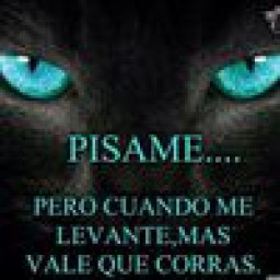 tina.jimenez.be