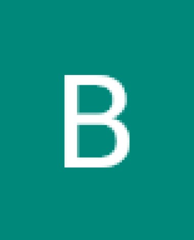 bel.lei39