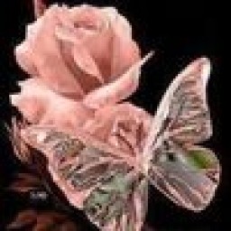 buffie.marie.59
