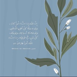 waad567