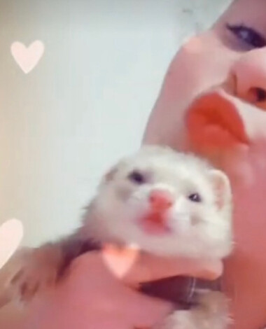 lia_monsa