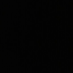 fofo20002