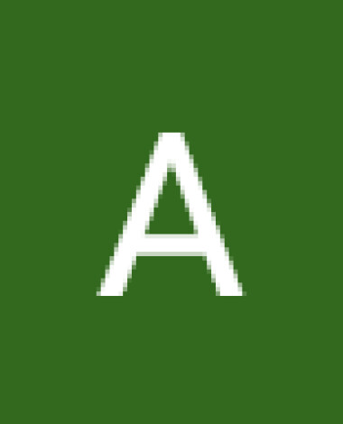 alismaidys
