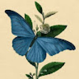 List by Nabi Blue