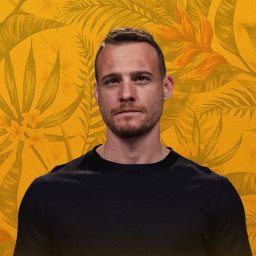 Kerem Bürsin as Aras Alkan
