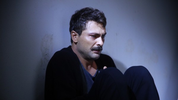 Ular külotlarini eshaklarida korsatishadi