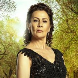 Gonca Cilasun as Halise Efeoğlu