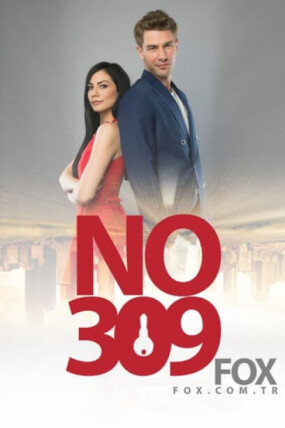 No: 309 (NOW) - Dizilah
